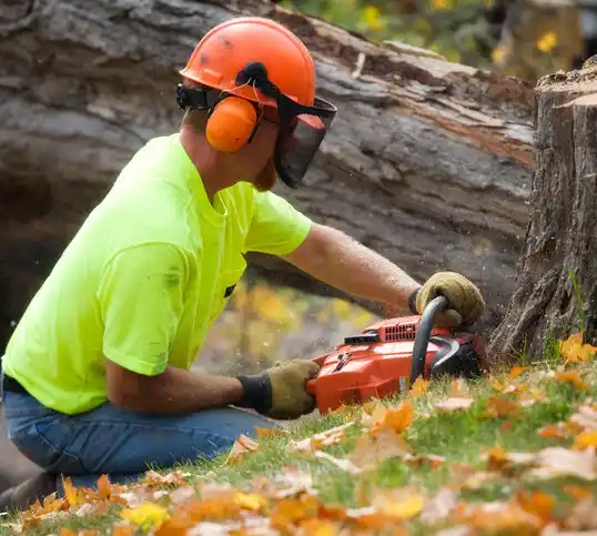 tree services Rich Square